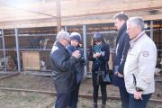 13 марта на площадке Городского центра отлова животных состоялось выездное заседание комитета гордумы по экологии и благоустройству под председательством Ирины Фоминой.
