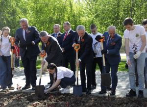 Символы дружбы и памяти: донецкие розы высажены в Волгограде