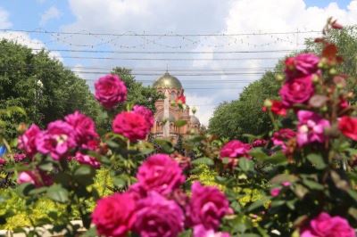 Сегодня городу-герою Волгограду исполняется 432 года! 