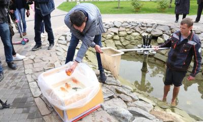 Обитатели пруда на Центральной набережной отправились на «зимние квартиры»