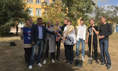 Волгоград включился в федеральный проект «Классный лес»