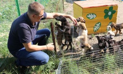 Волгоградцы накормили питомцев приюта «Лисёна»