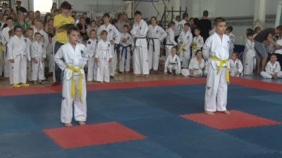 Более пятисот юных борцов померились силами за кубки Чемпионата и Первенства региона по тхэквондо МФТ
