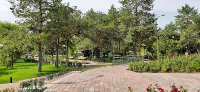 За пять лет в Волгограде благоустроено 40 общественных территорий