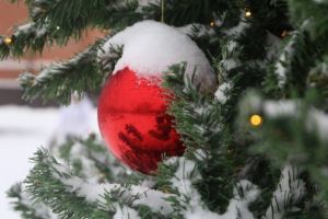 С Новым 2026 годом, дорогие волгоградцы!