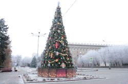 Депутаты городской Думы поздравляют всех волгоградцев с наступающими новогодними праздниками! Счастья и благополучия в 2021 году!