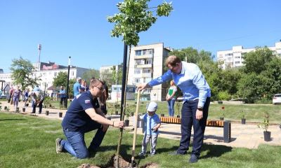 Почти 300 деревьев и кустарников высажены в сквере Памяти в Советском районе