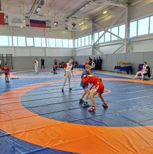 Три вида единоборств, 1200 спортсменов: Волгоград укрепляет славу спортивного города героя 