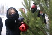 23 декабря во дворе Детско-юношеского центра Волгограда появилась красивая новогодняя елка. По традиции установили и нарядили ее для воспитанников ГДЮЦа депутаты Волгоградской городской Думы.