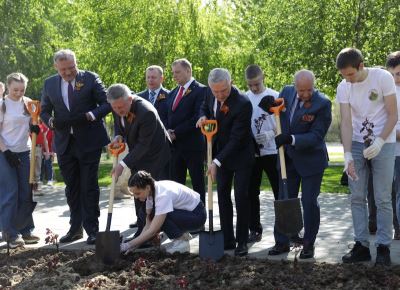 Символы дружбы и памяти: донецкие розы высажены в Волгограде
