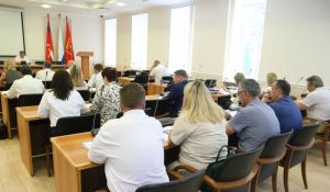 Профильный комитет гордумы держит на контроле вопросы бюджетной политики