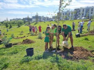 Депутаты гордумы - в числе общественных кураторов объектов благоустройства