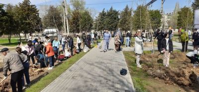 80 деревьев – 80 лет памяти: в Красноармейском районе заложили сквер Победы